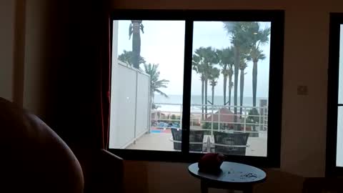 Paul online show from December 2025 07:57:02 AM