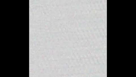 Snapshot of polly_wow chatting on March 2025 12:26:01 PM Polly online show from March 2025 12:26:01 PM