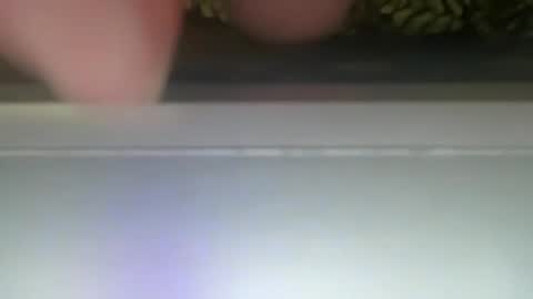 Snapshot of ponchynyc chatting on December 2024 12:31:01 PM PONCH online show from December 2024 12:31:01 PM