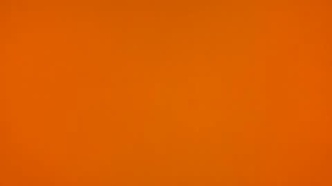 Poprigyn53535 online show from February 2026 10:36:02 AM