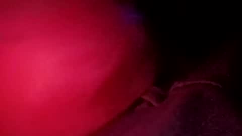 porkchop696974 online show from February 2026 06:59:02 AM