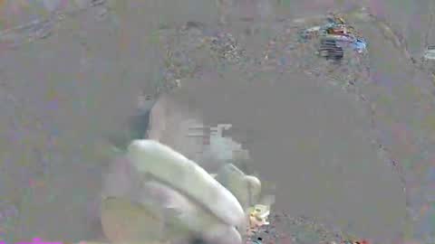 ppsmall_17 online show from October 2025 10:34:02 PM