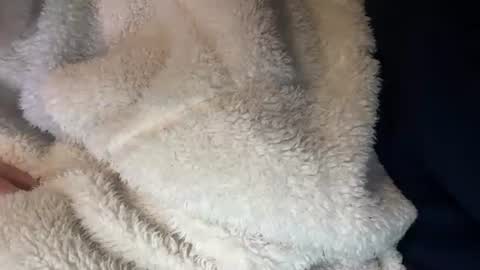 Snapshot of prelako chatting on October 2025 12:00:02 PM Prelako online show from October 2025 12:00:02 PM