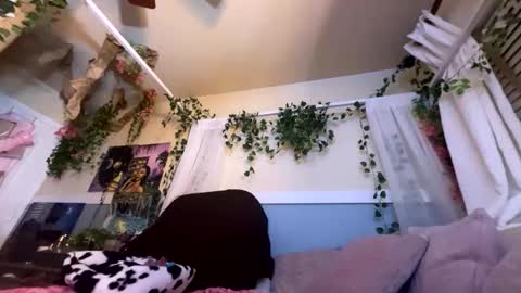 prettyblackgal online show from November 2025 07:43:01 AM