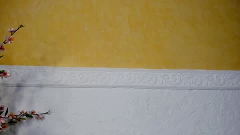 Snapshot of prettypervyx chatting on February 2025 09:03:01 AM Laura Onlyfans 40OFF online show from February 2025 09:03:01 AM