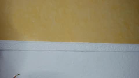 Snapshot of prettypervyx chatting on February 2025 09:05:02 AM Laura Onlyfans 40OFF online show from February 2025 09:05:02 AM