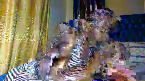 sasha online show from November 2025 07:13:01 PM