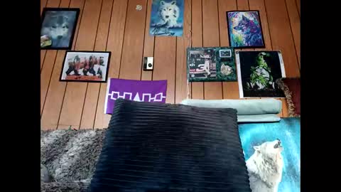 Snapshot of prettysolid7 chatting on February 2026 02:09:01 PM prettysolid7 online show from February 2026 02:09:01 PM