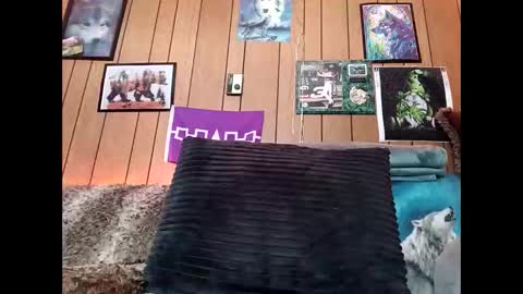 Snapshot of prettysolid7 chatting on February 2026 01:08:02 PM prettysolid7 online show from February 2026 01:08:02 PM