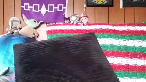 prettysolidd7 online show from January 2025 02:35:02 PM