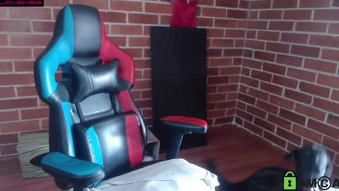 Leia online show from April 2026 08:36:01 PM