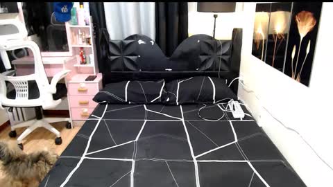 Shane online show from October 2025 08:53:02 PM