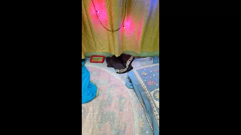 priyachocolaty online show from February 2026 08:35:01 PM