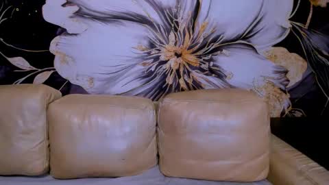 Snapshot of project_barbara chatting on October 2025 03:43:01 PM Barbara online show from October 2025 03:43:01 PM