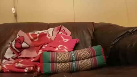 Snapshot of pulepower chatting on November 2025 08:17:02 AM pulepower online show from November 2025 08:17:02 AM