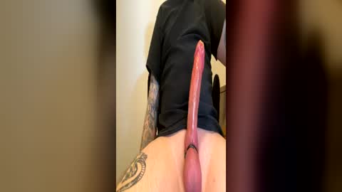 punkerboi182 online show from June 2026 03:16:01 AM