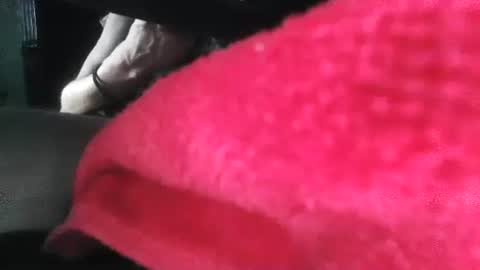 Puppah626  Phoenyx 39s Room online show from January 2025 05:00:02 PM