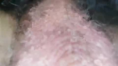 Puppah626  Phoenyx 39s Room online show from January 2025 08:04:02 PM