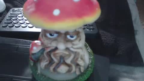 Puppah626  Phoenyx 39s Room online show from January 2025 07:05:01 AM