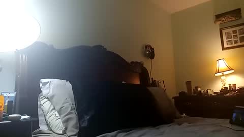 Puppah626  Phoenyx 39s Room online show from March 2025 08:30:02 AM