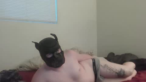 Snapshot of puptav chatting on March 2026 01:01:01 AM puptav online show from March 2026 01:01:01 AM