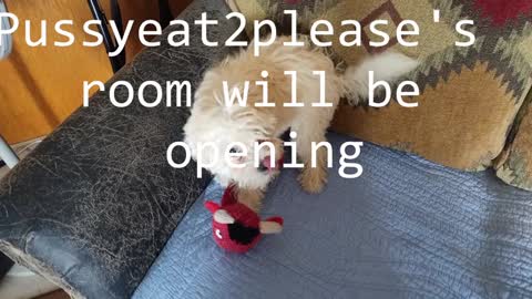 Snapshot of pussyeat2please chatting on February 2025 09:40:02 AM Rick online show from February 2025 09:40:02 AM