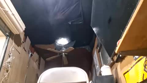 pussylicker517038 online show from May 2026 04:14:01 PM