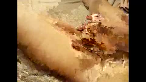 Thick Pussy banger online show from September 2025 07:52:02 PM