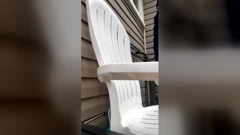 Snapshot of pyrex8 chatting on January 2026 03:17:02 PM pyrex8 online show from January 2026 03:17:02 PM