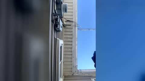 Snapshot of pyrex8 chatting on February 2026 02:32:02 PM pyrex8 online show from February 2026 02:32:02 PM