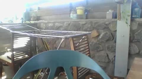 Python online show from November 2025 04:04:01 AM