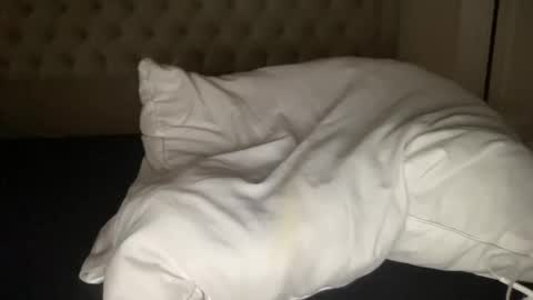 qlf0506 online show from November 2025 02:01:02 AM