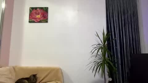 Snapshot of queen_chatur chatting on January 2025 12:32:02 PM Viktoria online show from January 2025 12:32:02 PM