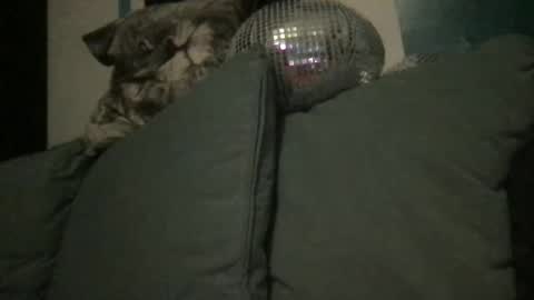 Queen De La Ranch online show from September 2025 07:04:01 PM