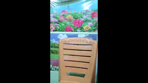 queensuperlady online show from January 2026 09:57:01 AM