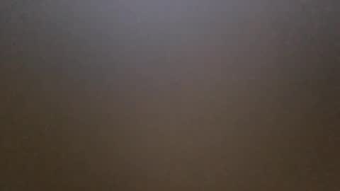 Snapshot of r836367 chatting on March 2026 05:30:02 PM r836367 online show from March 2026 05:30:02 PM