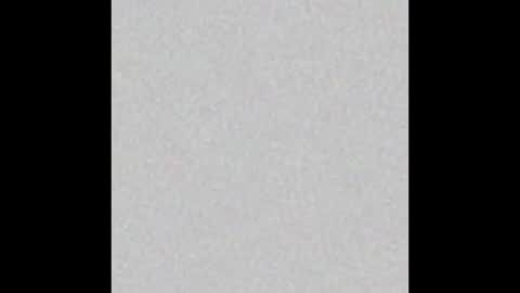 Rabbit Snake online show from November 2025 02:33:01 AM