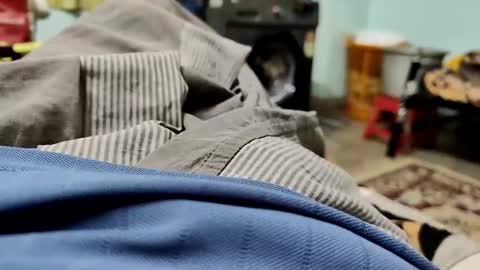 Snapshot of raghavan_india chatting on December 2025 05:45:02 AM Raghav online show from December 2025 05:45:02 AM