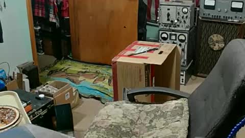 Randall online show from November 2025 11:26:01 PM