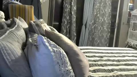 Randy8inbater online show from January 2025 05:34:01 AM