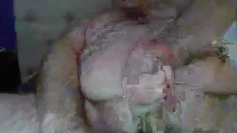 Snapshot of randythedingo chatting on February 2025 04:37:01 PM randythedingo online show from February 2025 04:37:01 PM