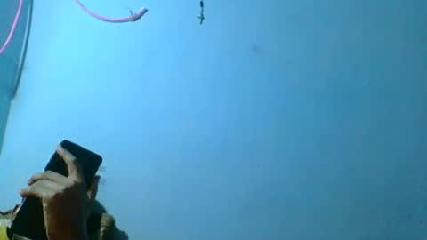 rasoelysca online show from March 2026 04:47:01 AM