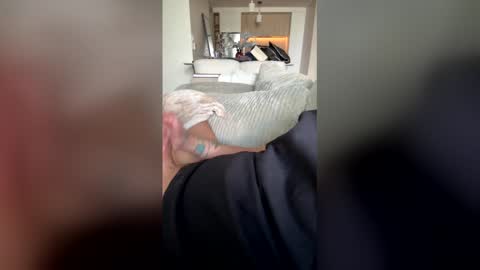 ratatou786852 online show from May 2026 08:02:02 PM