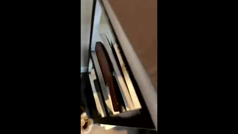 Snapshot of ravenxbeastie chatting on February 2025 08:58:01 PM ravenxbeastie online show from February 2025 08:58:01 PM