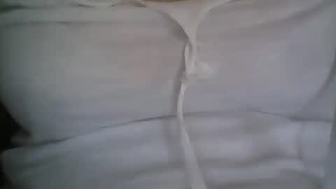 Snapshot of rayday_ chatting on January 2025 04:19:02 PM rayday_ online show from January 2025 04:19:02 PM