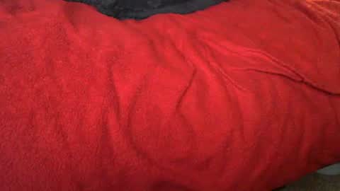 raymondo1964 online show from November 2025 11:47:01 PM