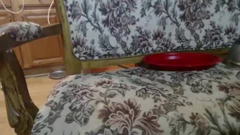 Ray online show from February 2026 05:50:01 AM