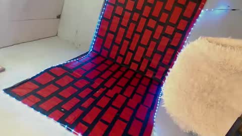 cindy online show from January 2025 12:19:02 AM