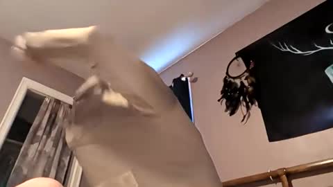 raziebaby online show from April 2026 02:15:02 PM