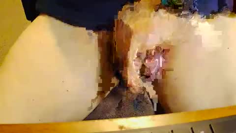 rb69er905364 online show from November 2025 10:04:01 PM